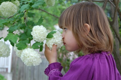 девочка вдыхает аромат цветов