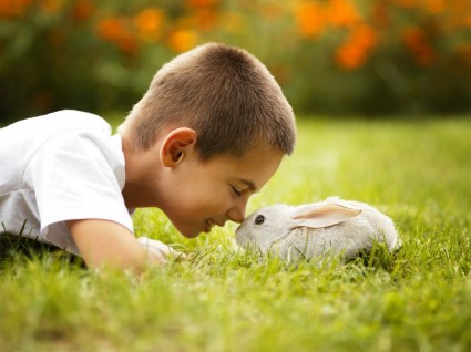 Мальчик и кролик
