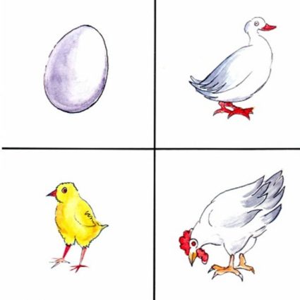 Карточка с яйцом, уткой, цыплёнком и курицей