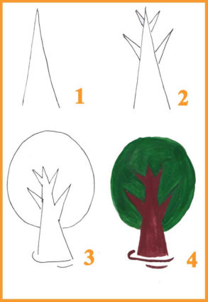 Схема поэтапного изображения дерева