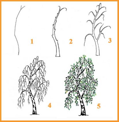 Схема поэтапного рисования дерева