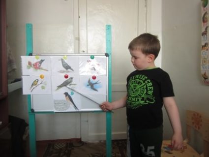 Мальчик показывает на картинки с птицами на стенде