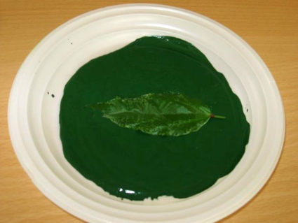 Тарелка с зелёной краской