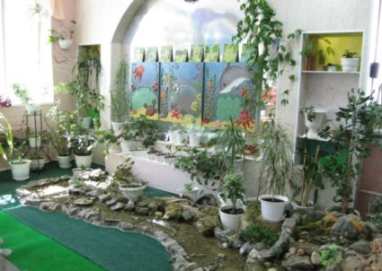 Зелёный уголок в детском саду (много растений в горшках)