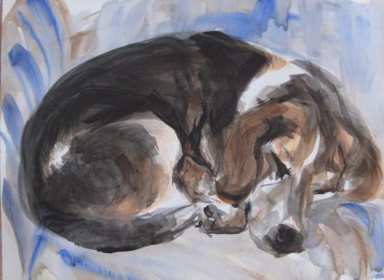Рисунок акварелью — спящая собака