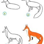 Схема поэтапного рисования лисы