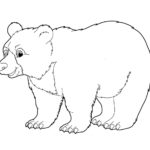 шаблон для вырезания Медведь