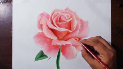 При желании школьник может научиться рисовать красивую розу в различных техниках