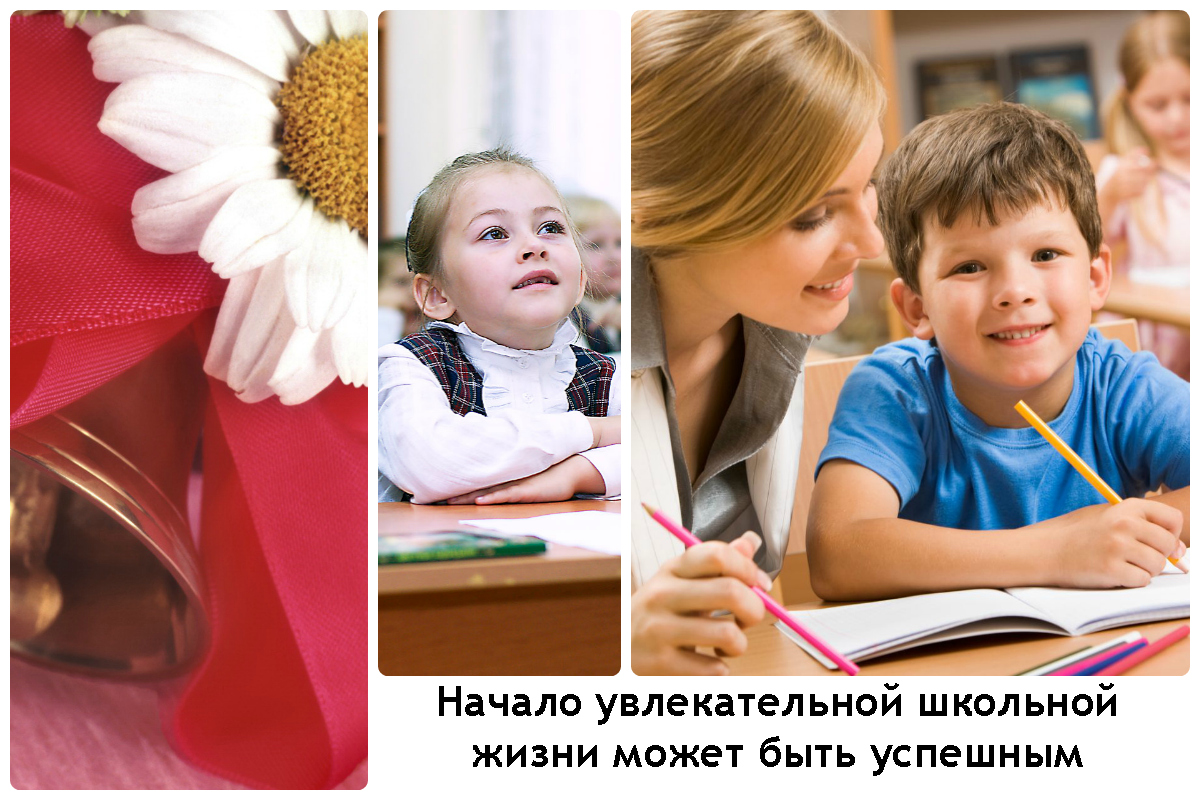 Мини футбол в школу Мини футбол в школу